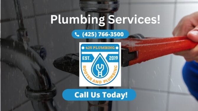 Emergency plumber in Bellevue 425 Plumbing