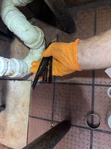 Emergency plumber in Saucier Flow Masters LLC