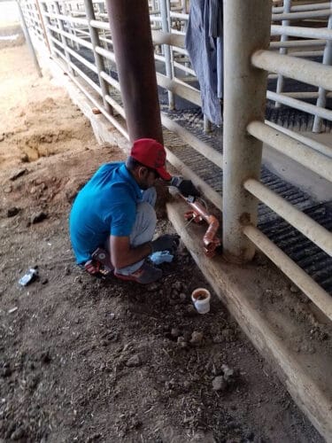 Emergency plumber in Maricopa AAM Plumbing Services LLC