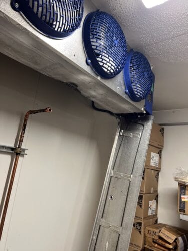 Emergency plumber in Cedar Park Minyard Sons Services, Inc.