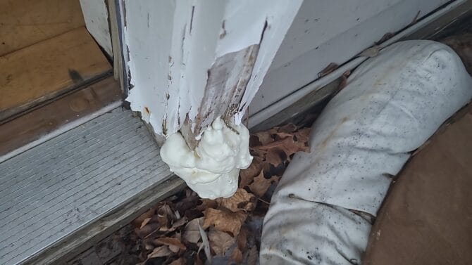 Emergency plumber in Mexico MJS Home Repairs