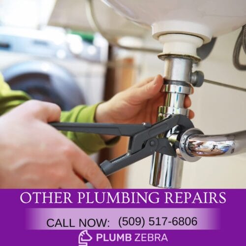 Emergency plumber in Spokane Valley Plumb Zebra