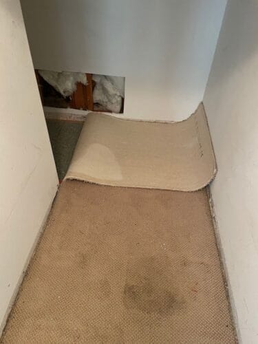 Emergency plumber in Murrieta Cali's Choice Plumbing & Restoration - 24 Hour Emergency Plumber